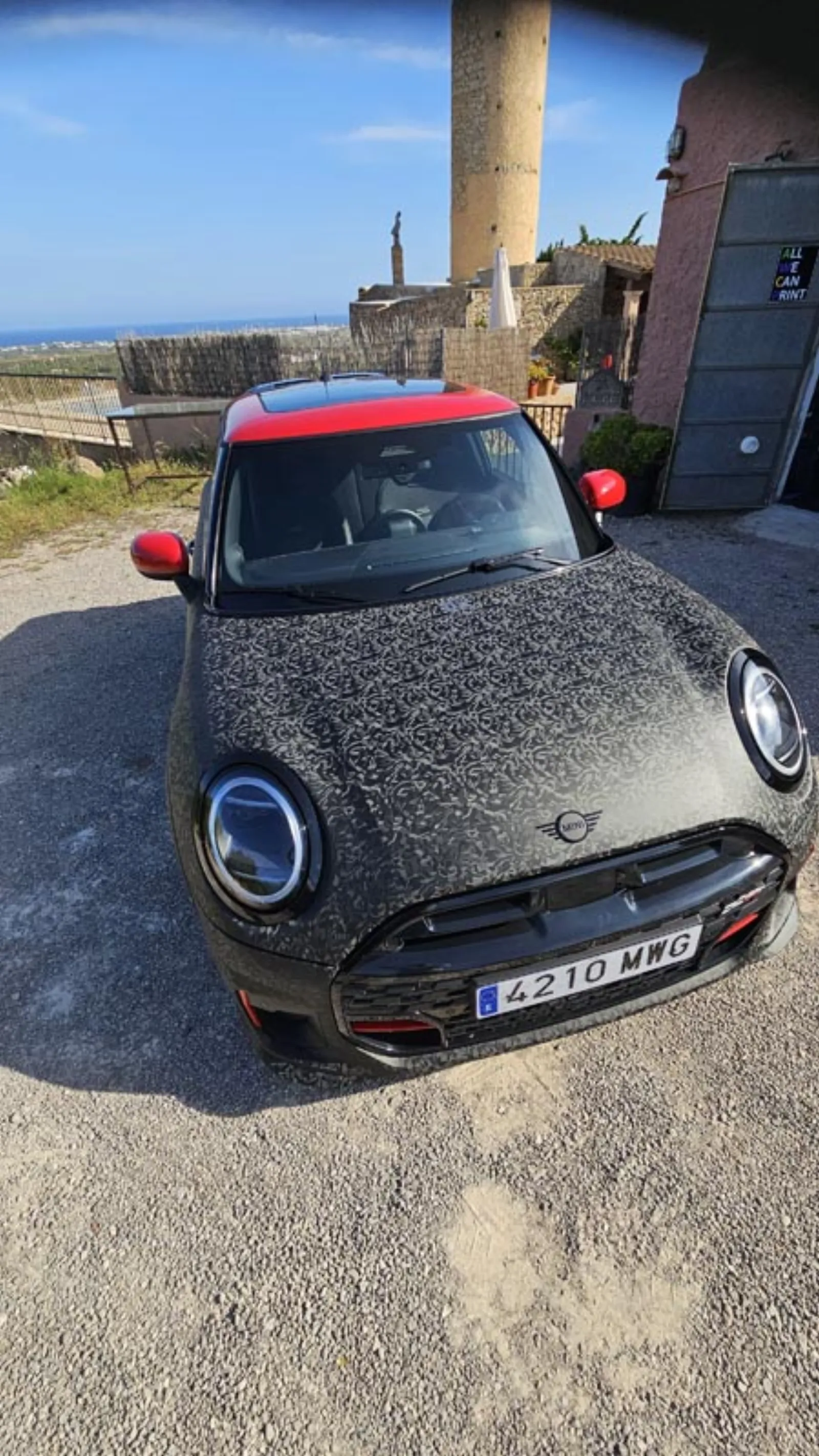 Mini JCW — Floral Overhead